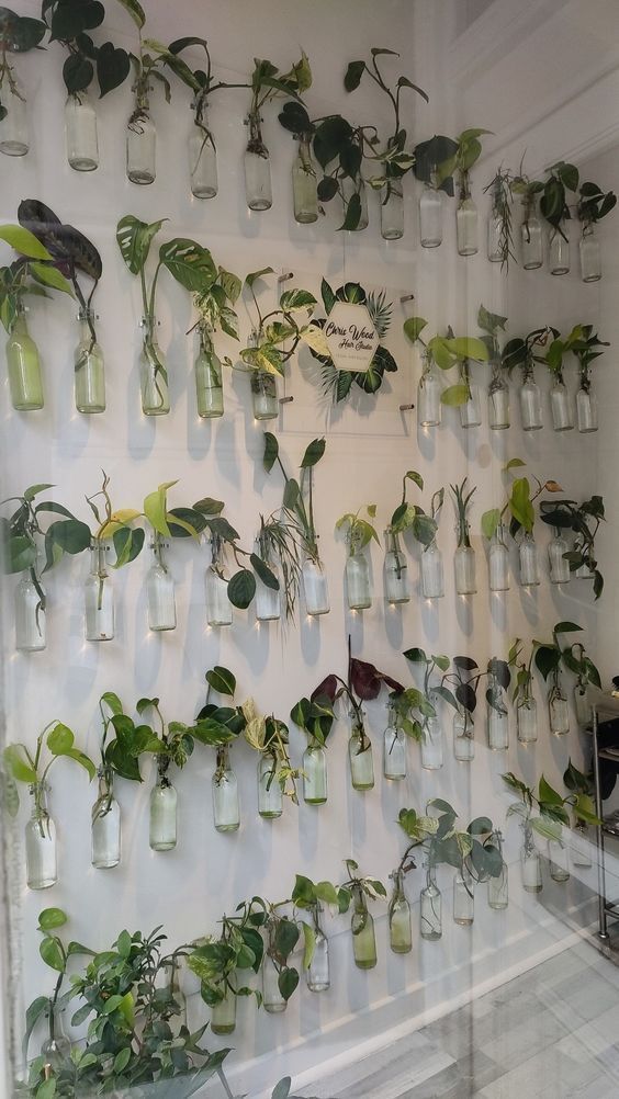 A Living Wall of Minimalist Elegance