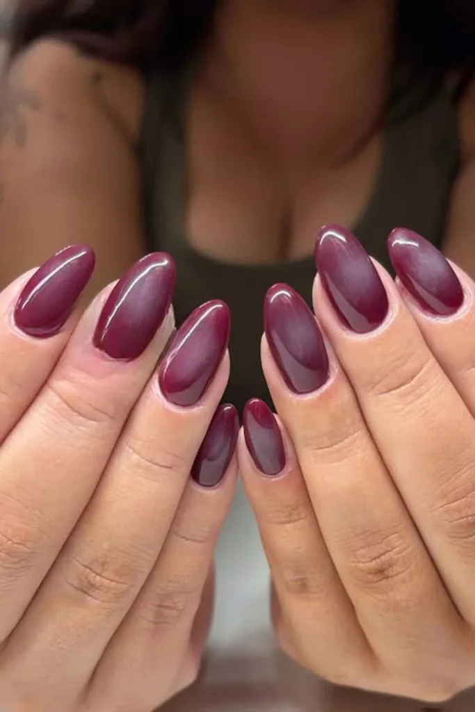 Glossy Plum Almond Nails