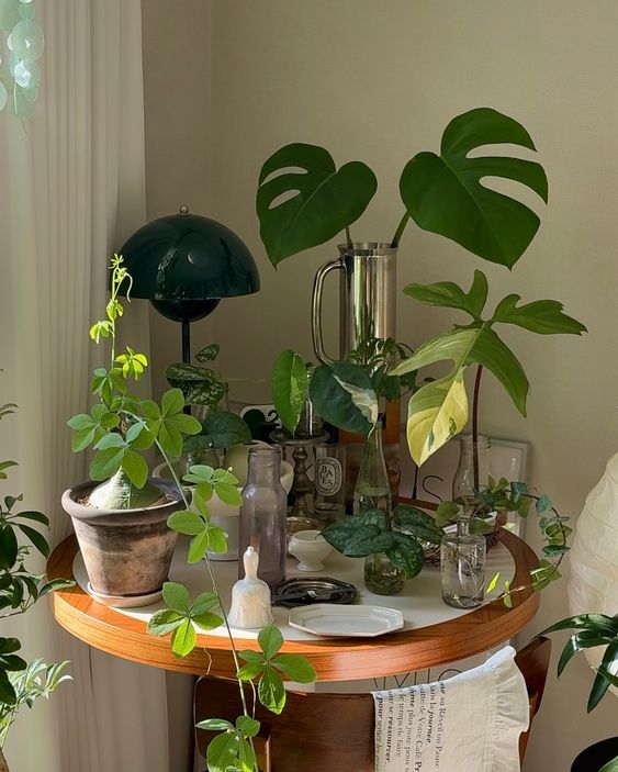 A Cozy Corner of Green Serenity
