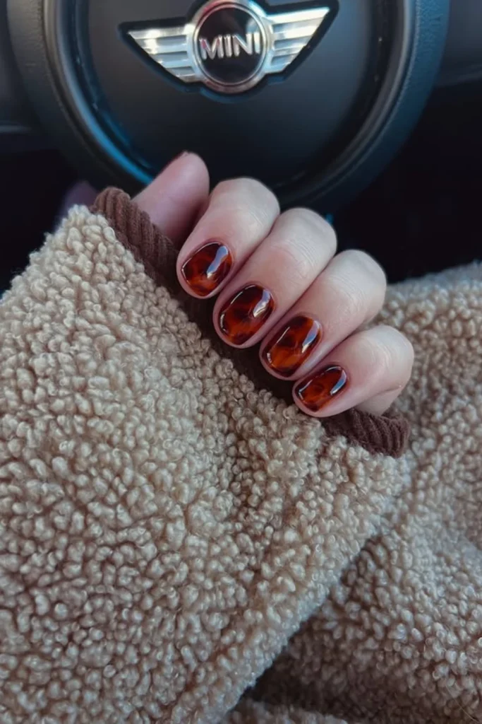 Cozy Tortoiseshell Nails