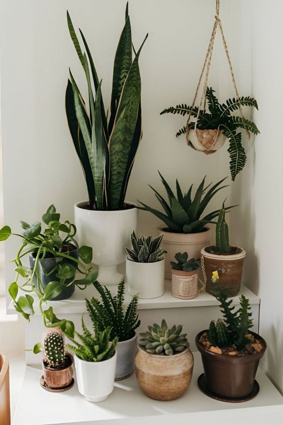 A Harmonious Display of Verdant Serenity