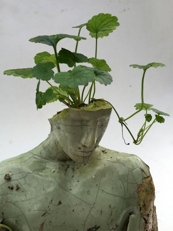 Cultivating Thought: A Fusion of Humanity and Nature
