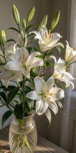 15+ Gorgeous Plant Aesthetic Ideas to Transform Your Living Space