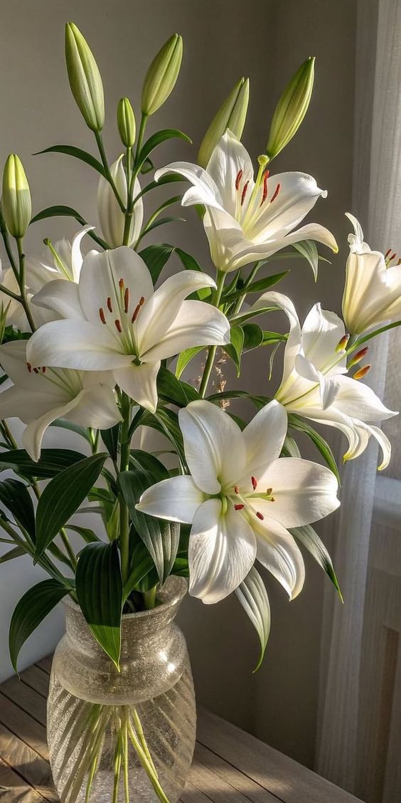 16 Gorgeous Plant Aesthetic Ideas to Transform Your Living Space
