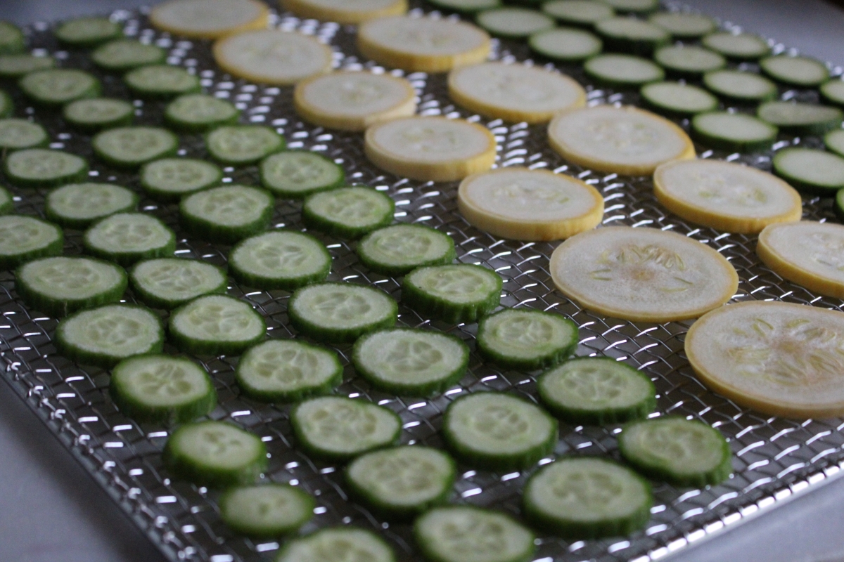 Sliced cucumbers on a dehydrator tray with yellow squash and zucchini