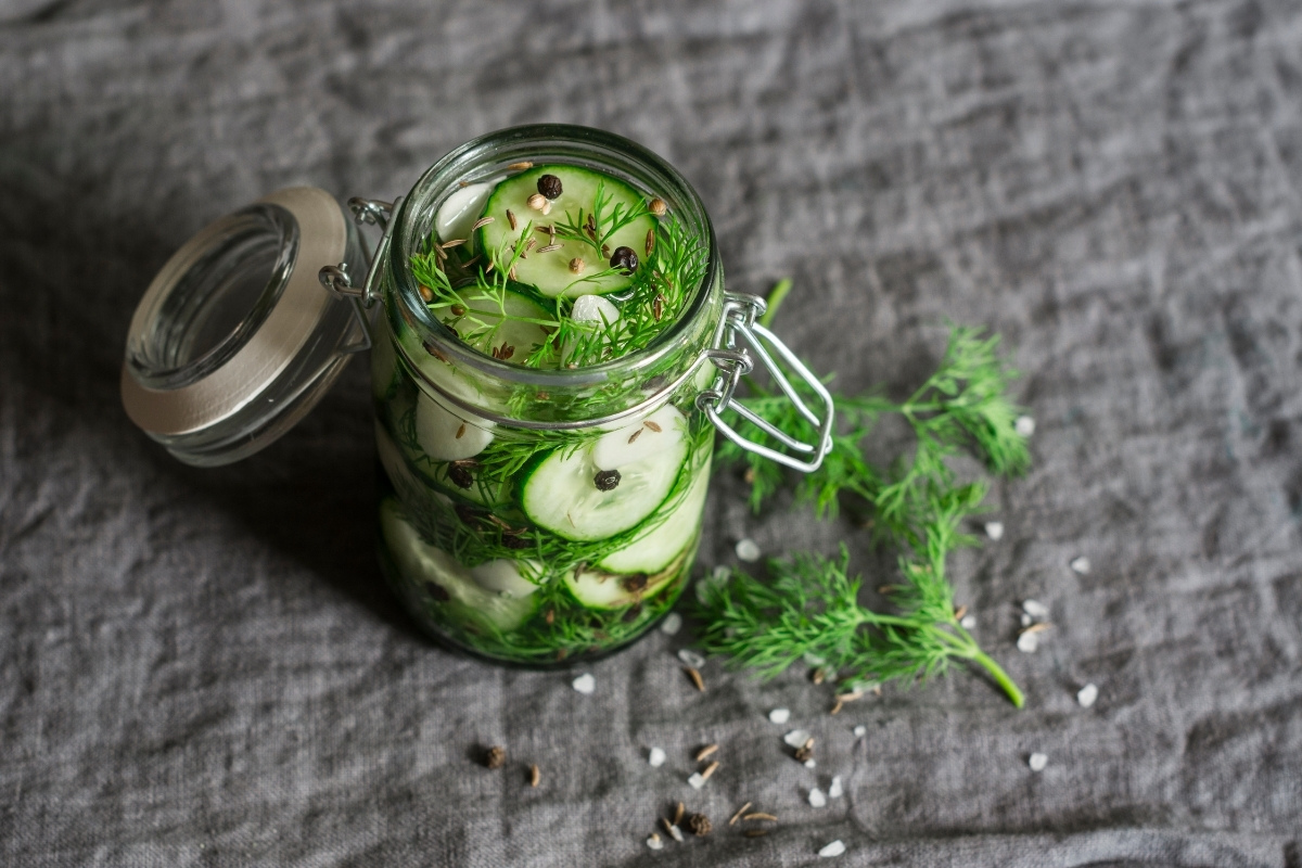 Quick refrigerator pickles packed into jars with fresh dill and spices