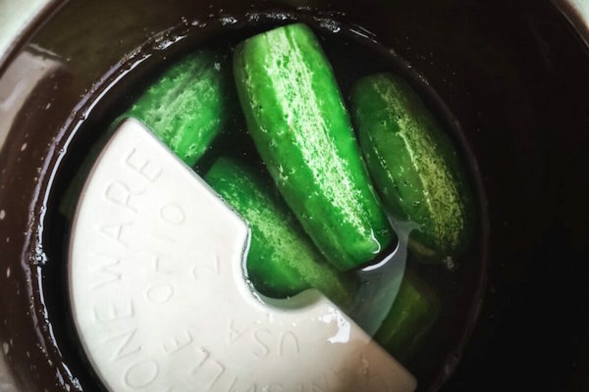 Lacto-fermented pickles culturing in a pickling crock with a ceramic weight